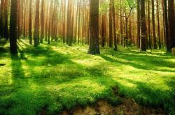 英雄联盟总决赛门票-当非洲雄狮咆哮地中海，门迪一扑定江山，喀麦隆奇迹夜震撼尼斯