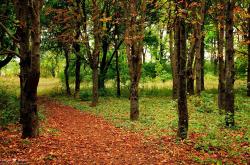 -跨越联盟的焦点战，保罗在山西队与老鹰的对决中重拾荣耀