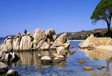 当绿茵闪电撞上绿衫铁壁！姆巴佩奥运单挑凯尔特人，数据揭秘世纪交锋