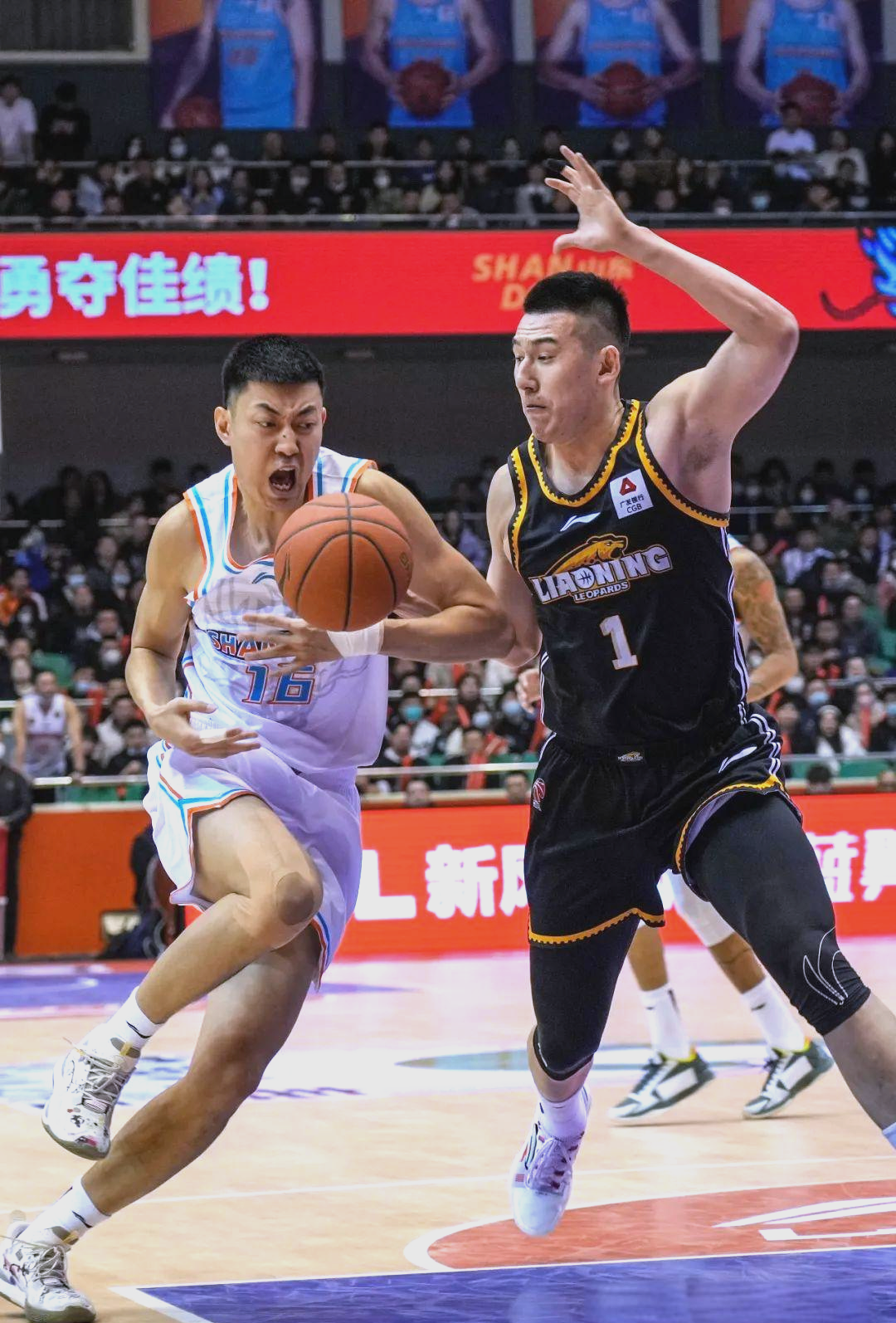 青岛男篮备战新赛季试训新成员 青岛男篮备战新赛季试训新成员