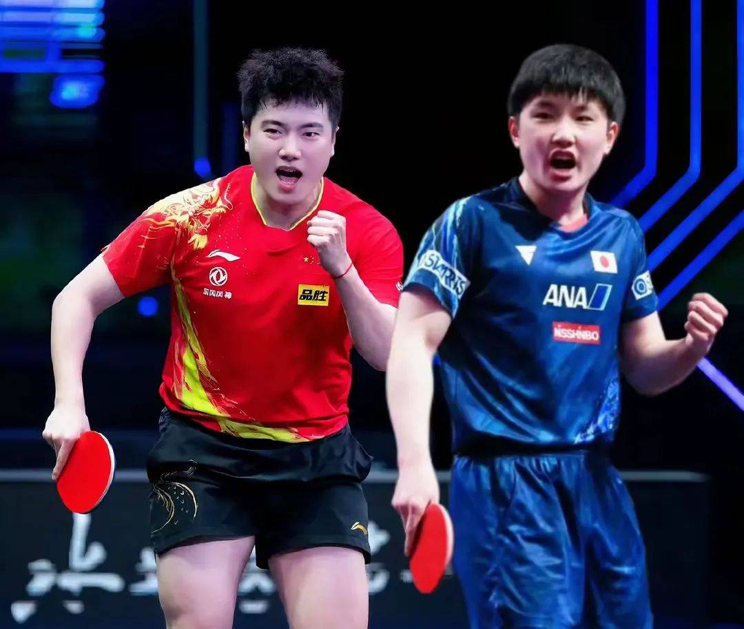 波兰队完胜德国队，张本智和惊艳四座