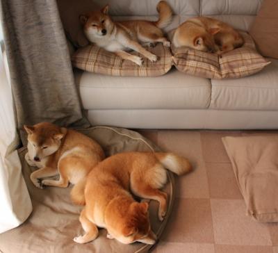 恩比德国际爆发点燃犹他，爵士争冠战构想中的广东队挑战