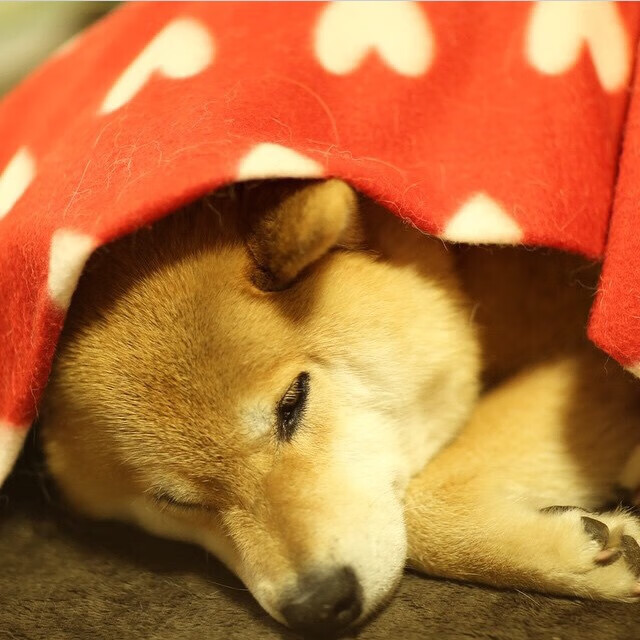 利刃出鞘时，当鹈鹕的洪流遇见克莱的寒光