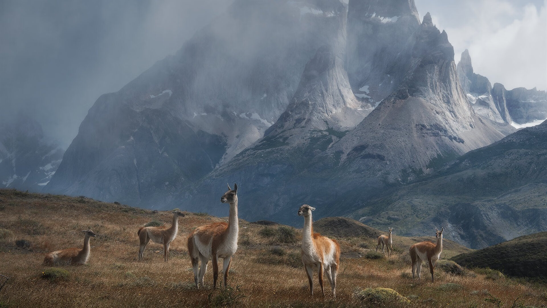 缺席者成为主角，德甲争冠战之夜，内马尔的存在感如何拉满？