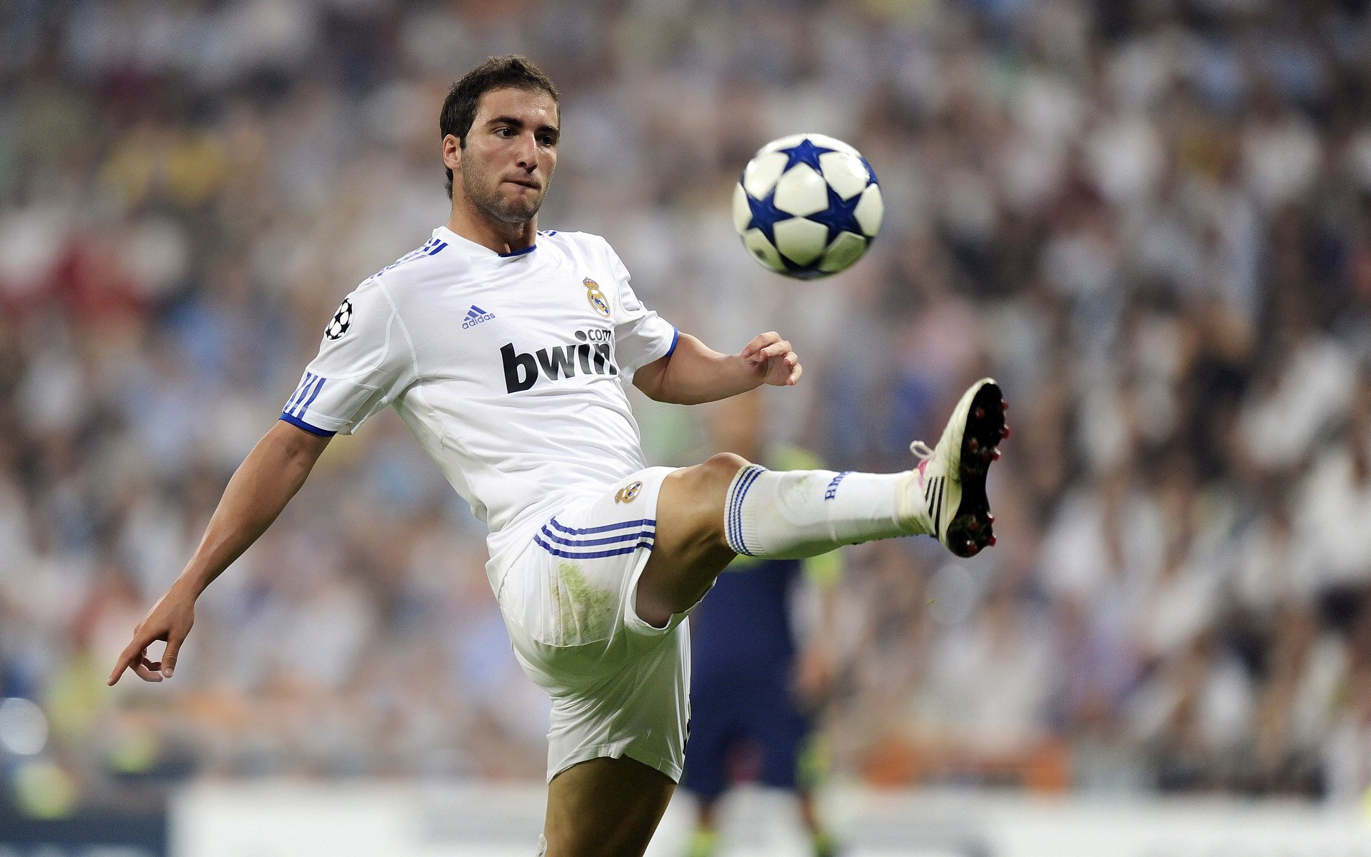 不朽的聚焦,当深圳队与凯尔特人书写冰与火的诗篇