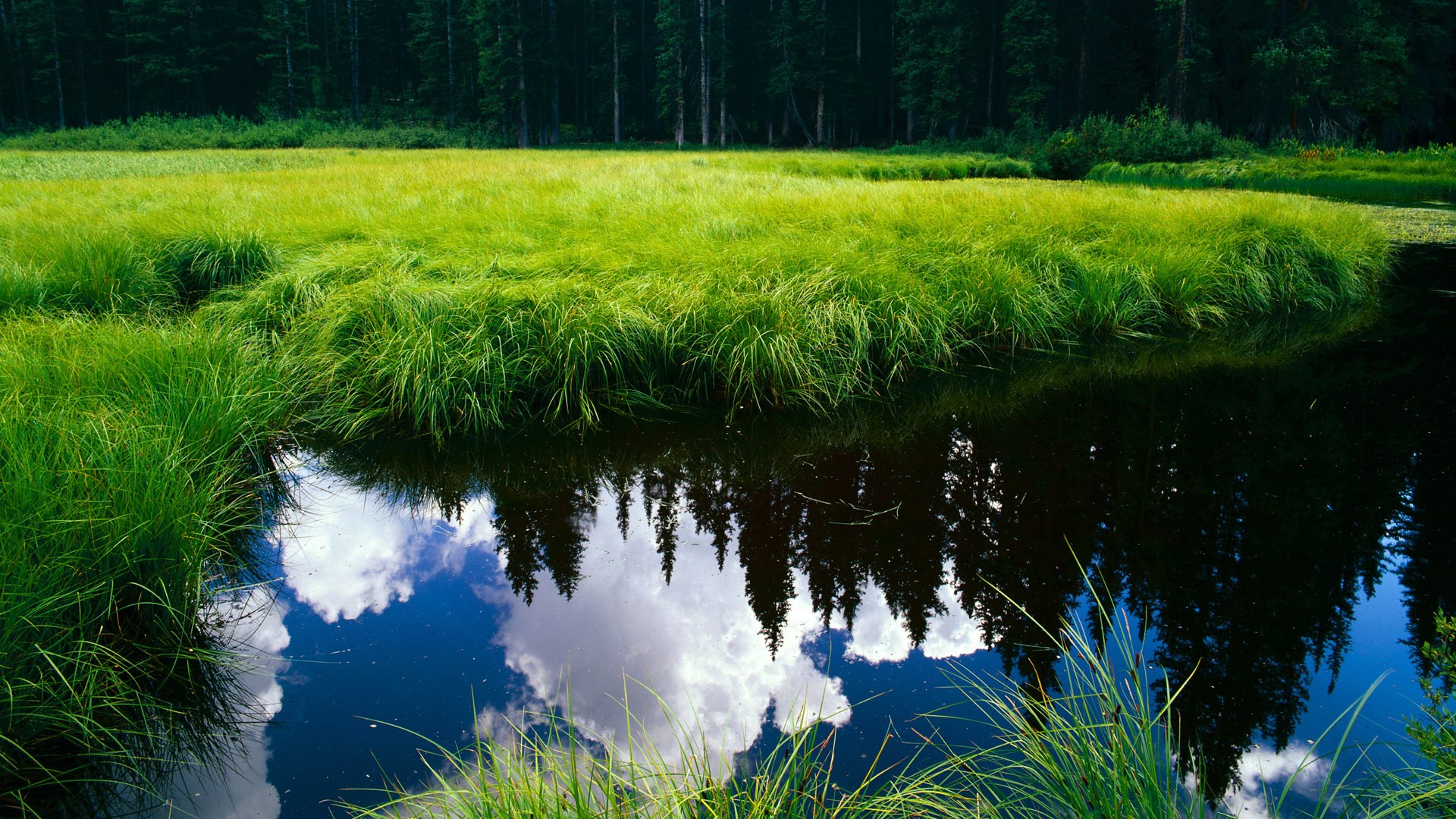 如果结局不同,火箭末节逆转绿军,重写历史轨迹的东决焦点战