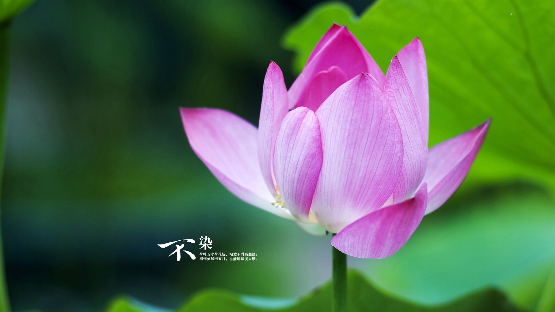 一亿颗星斗下,法比尼奥的战争与和平