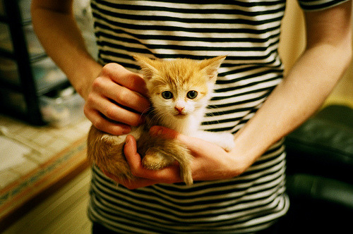 引擎轰鸣处，蓝桥驶过寂静的刀锋