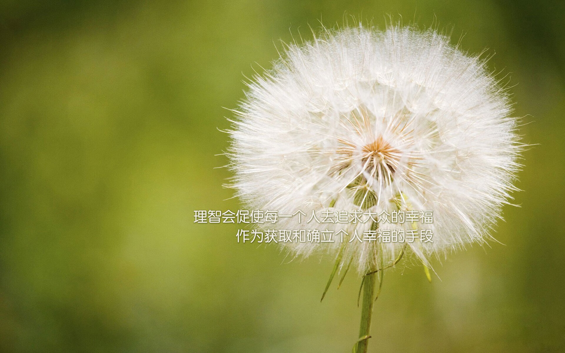 帕尔默，当一具破碎肉身成为全队渡河之桥