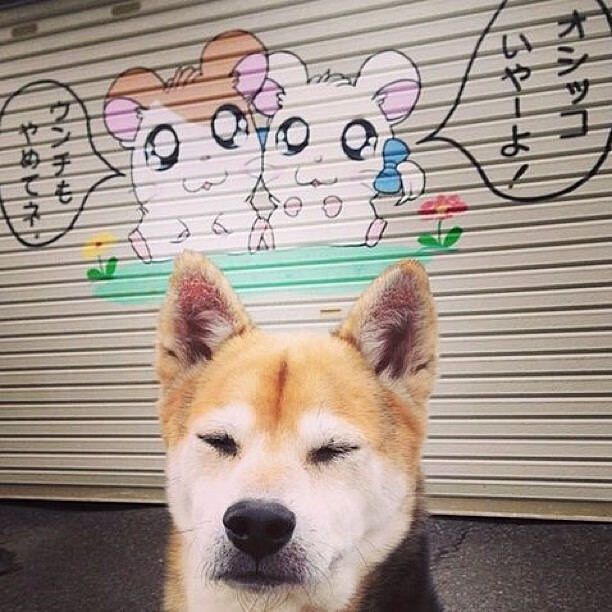 帕尔默，当一具破碎肉身成为全队渡河之桥