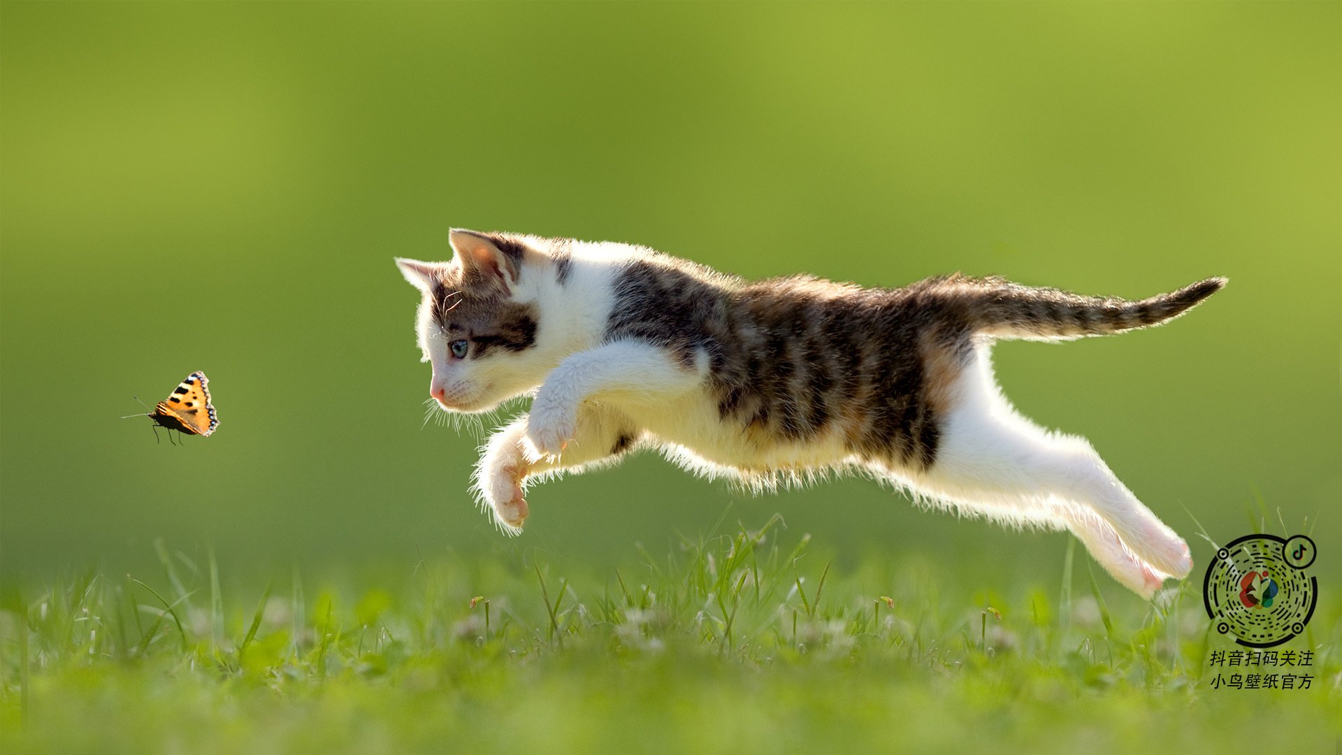 克莱手握刀锋，当凯尔特人围堵时，唯有他敢解开雷霆