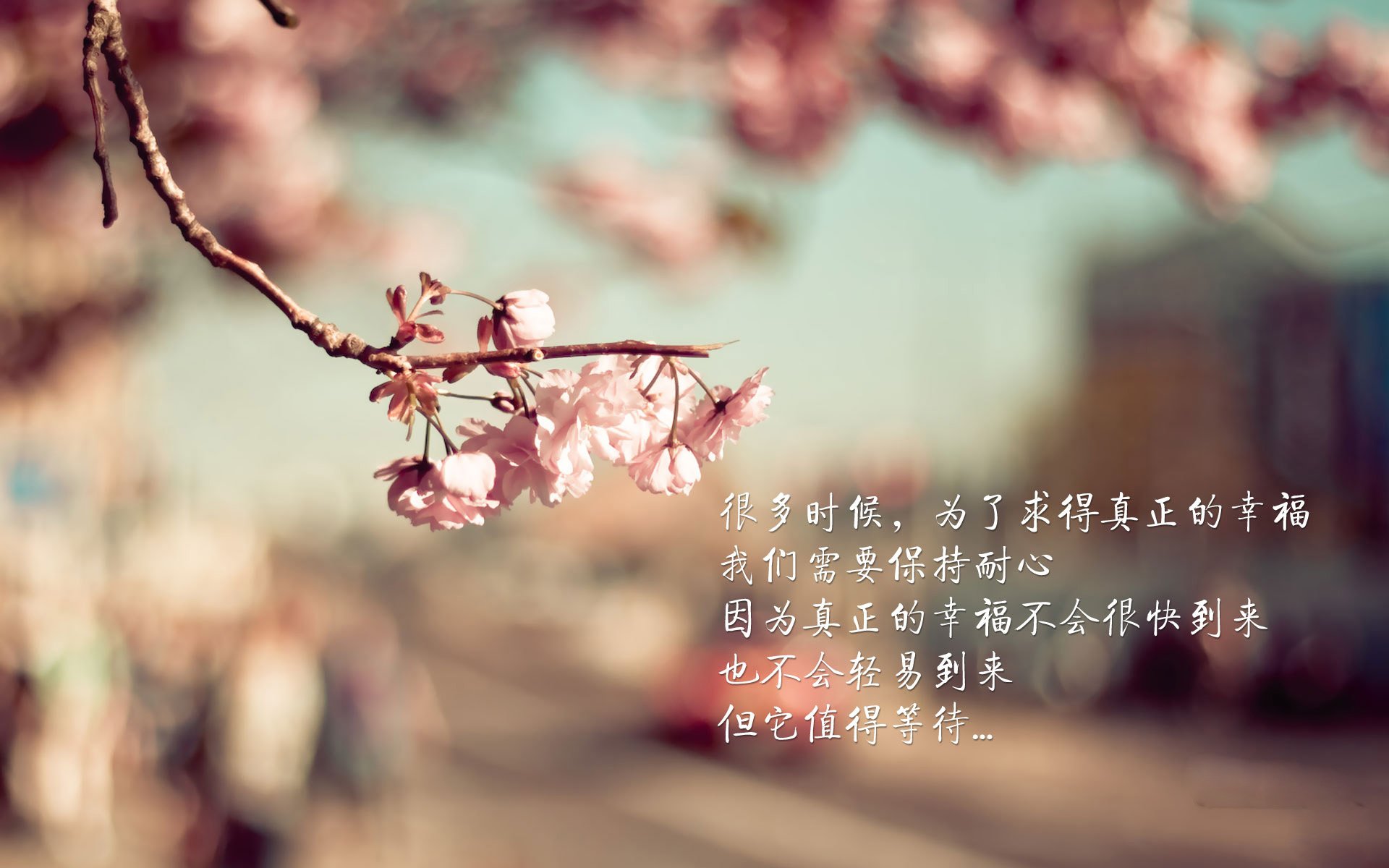 2026世界杯E组强强对话,潘帕斯铁骑碾压南美宿敌,法兰西神锋吉鲁凌空闪耀