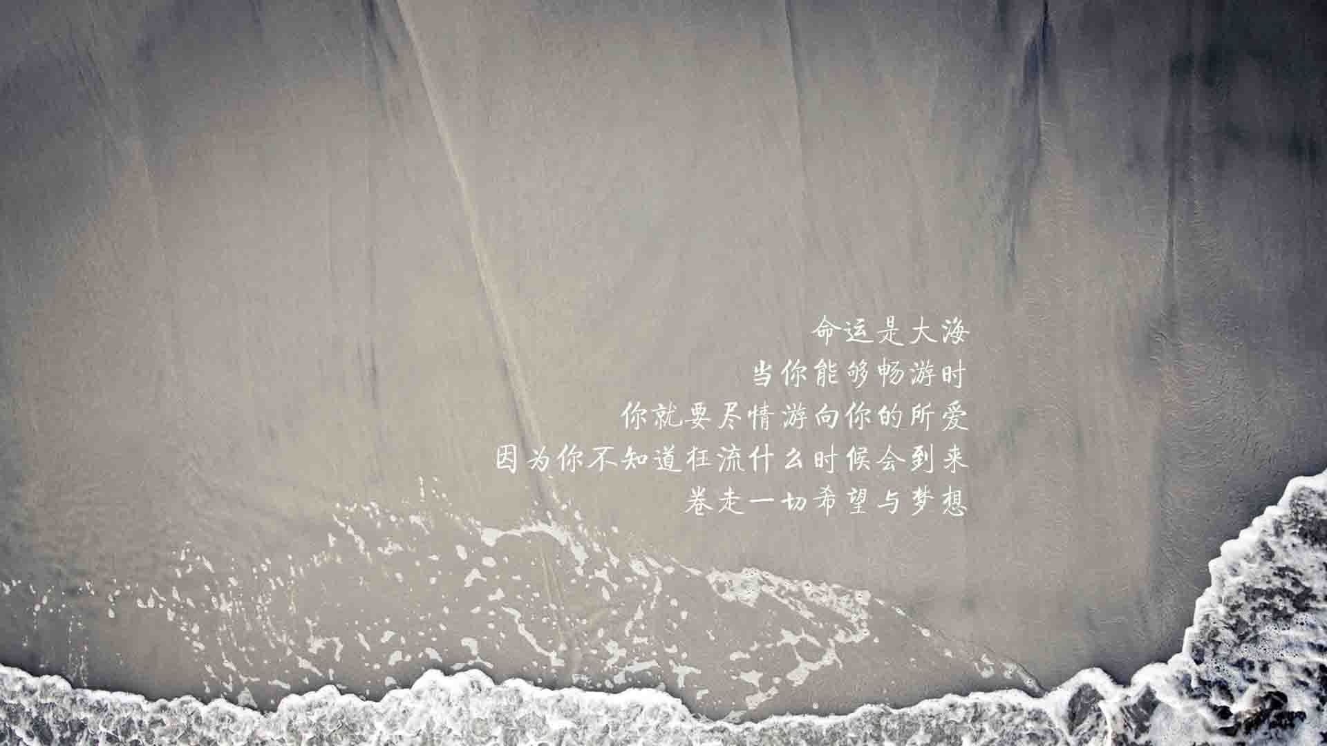 孤峰独照，当福登的左脚，为足球帝国刻下唯一的神谕—2026世界杯决赛巴西vs塞尔维亚终极解码