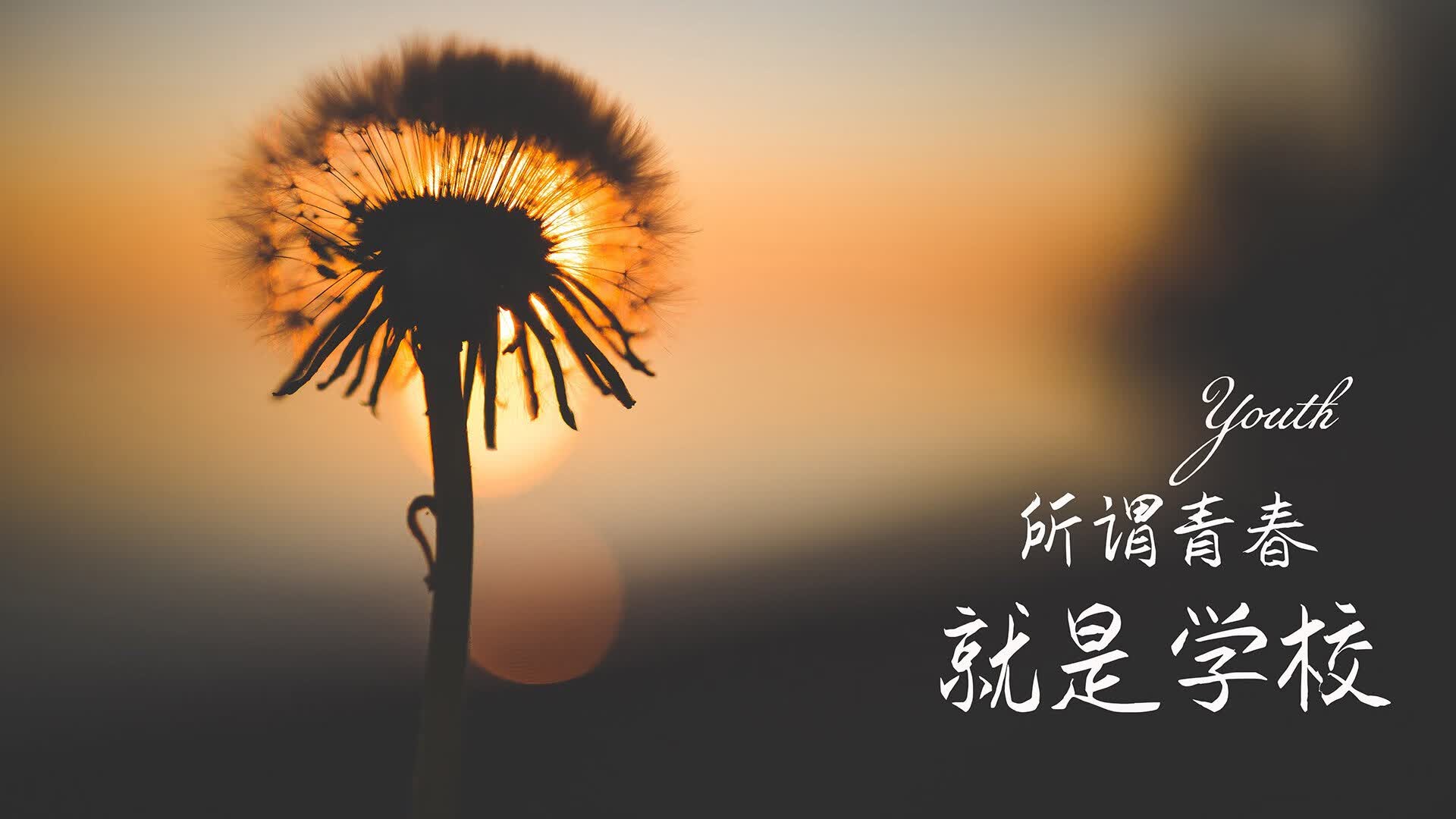 唯一的光,坎塞洛用一场独奏,为斯洛伐克点亮通往2026的暗夜